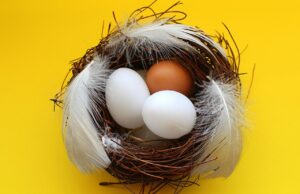 40代専業主婦は普段何してるの？